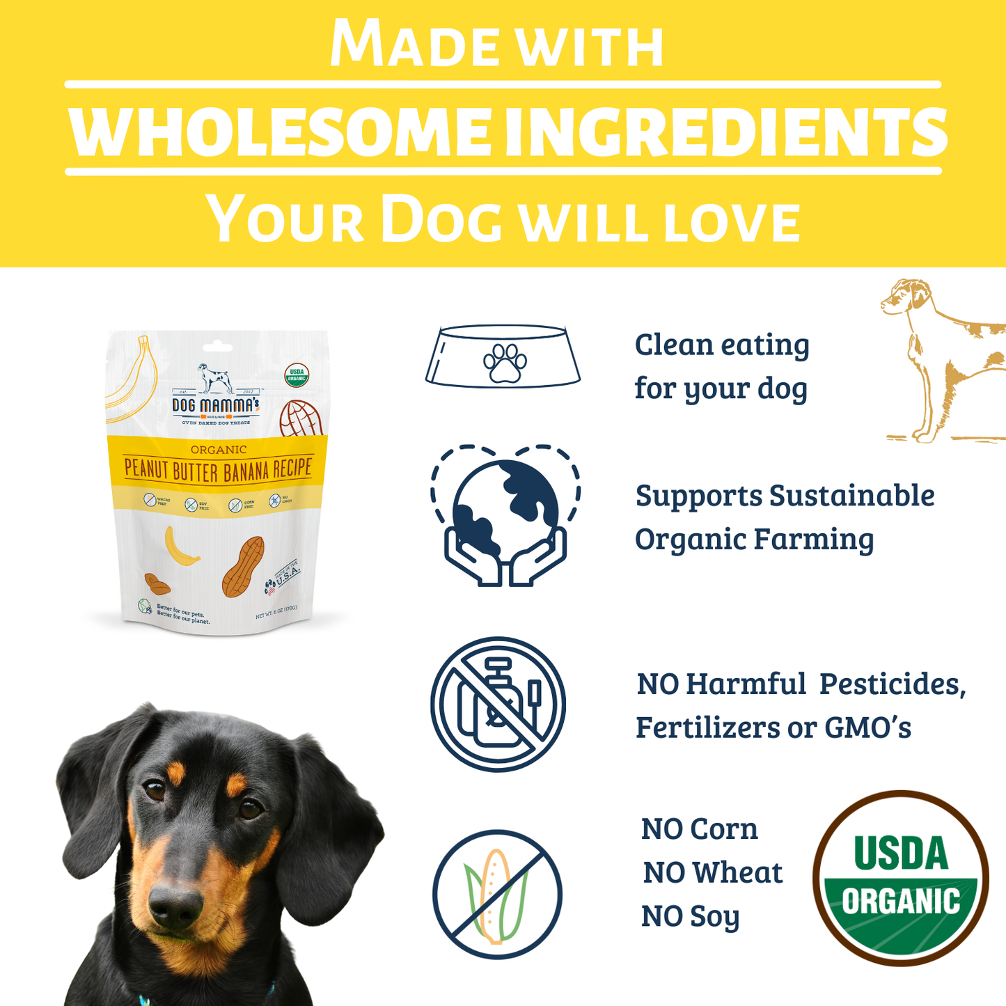 Dog Mamma's Organic Peanut Butter Banana Dog Treats – 6 oz | USDA Organic