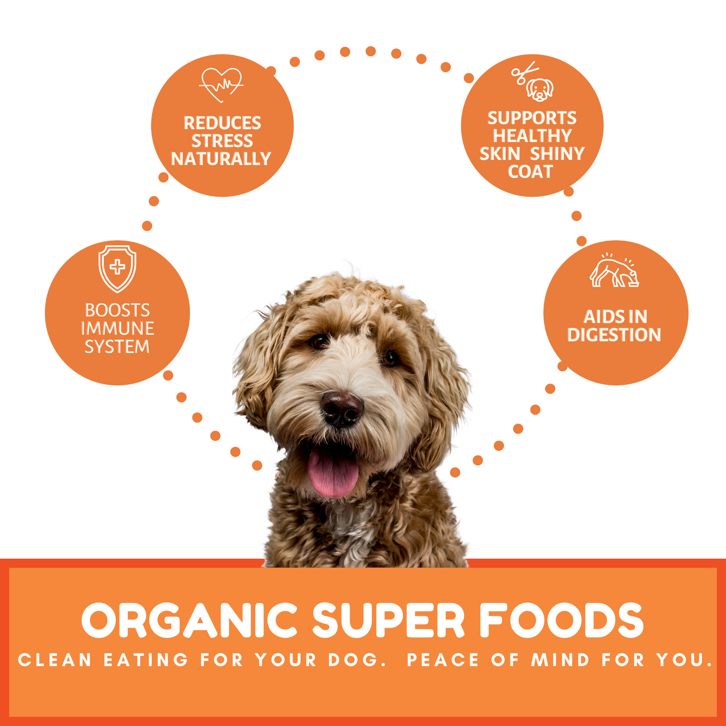 Dog Mamma's Organic Pumpkin Snaps Dog Treats – 6 oz | USDA Organic