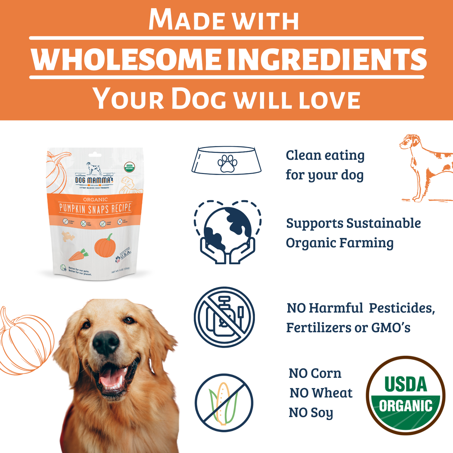 Dog Mamma's Organic Pumpkin Snaps Dog Treats – 6 oz | USDA Organic