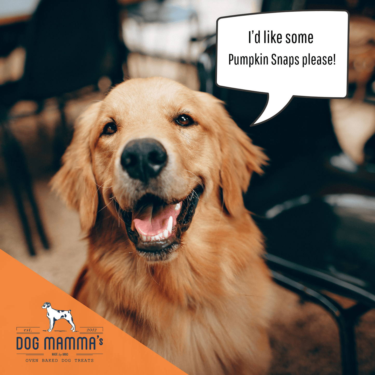 Dog Mamma's Organic Pumpkin Snaps Dog Treats – 6 oz | USDA Organic