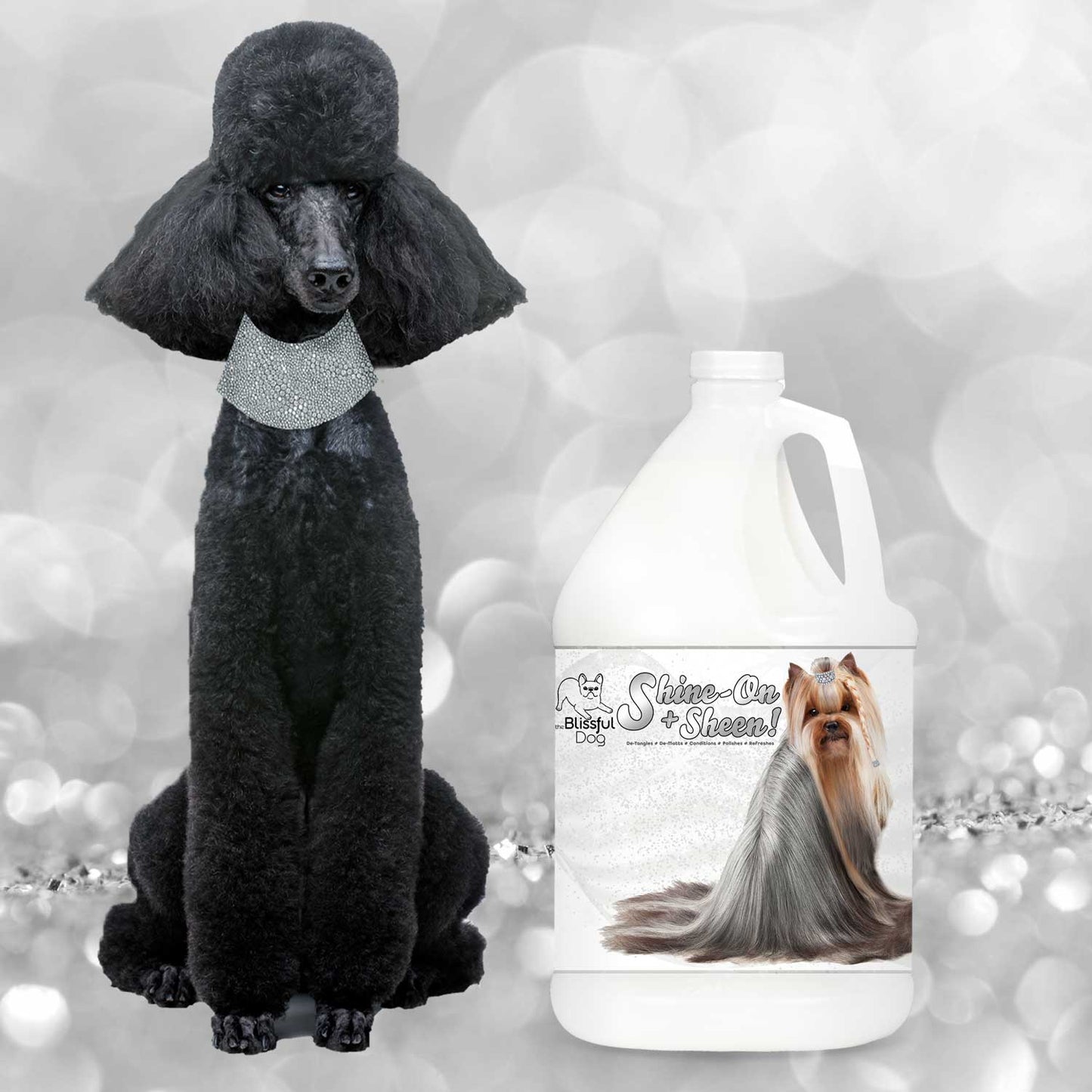 Shine-On+Sheen Dog De-Tangling Coat Spray by The Blissful Dog – Leave-In Conditioner & Coat Polish