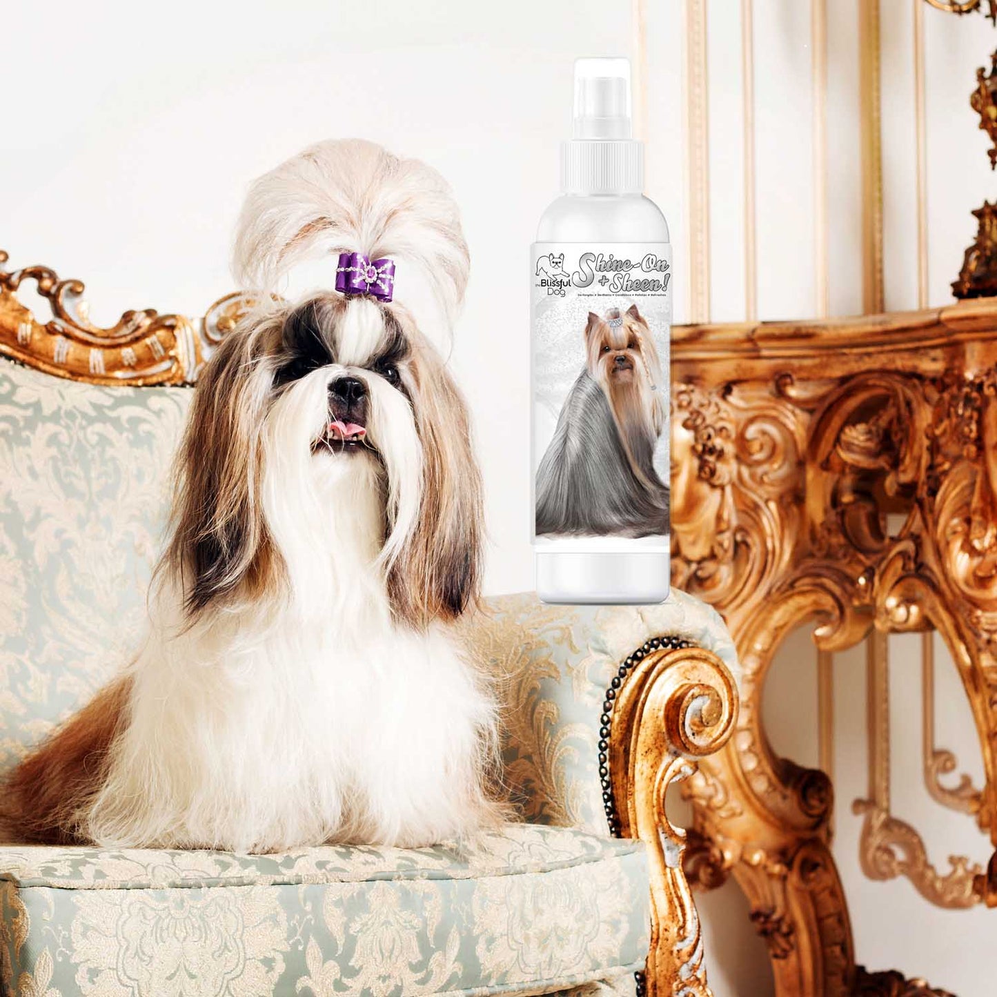 Shine-On+Sheen Dog De-Tangling Coat Spray by The Blissful Dog – Leave-In Conditioner & Coat Polish