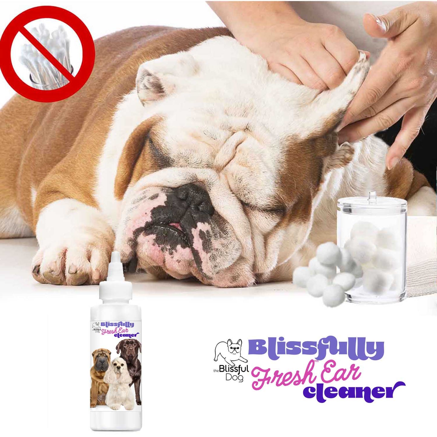 Blissfully Fresh™ Dog Ear Cleaner by The Blissful Dog – Natural Ear Cleaning Solution