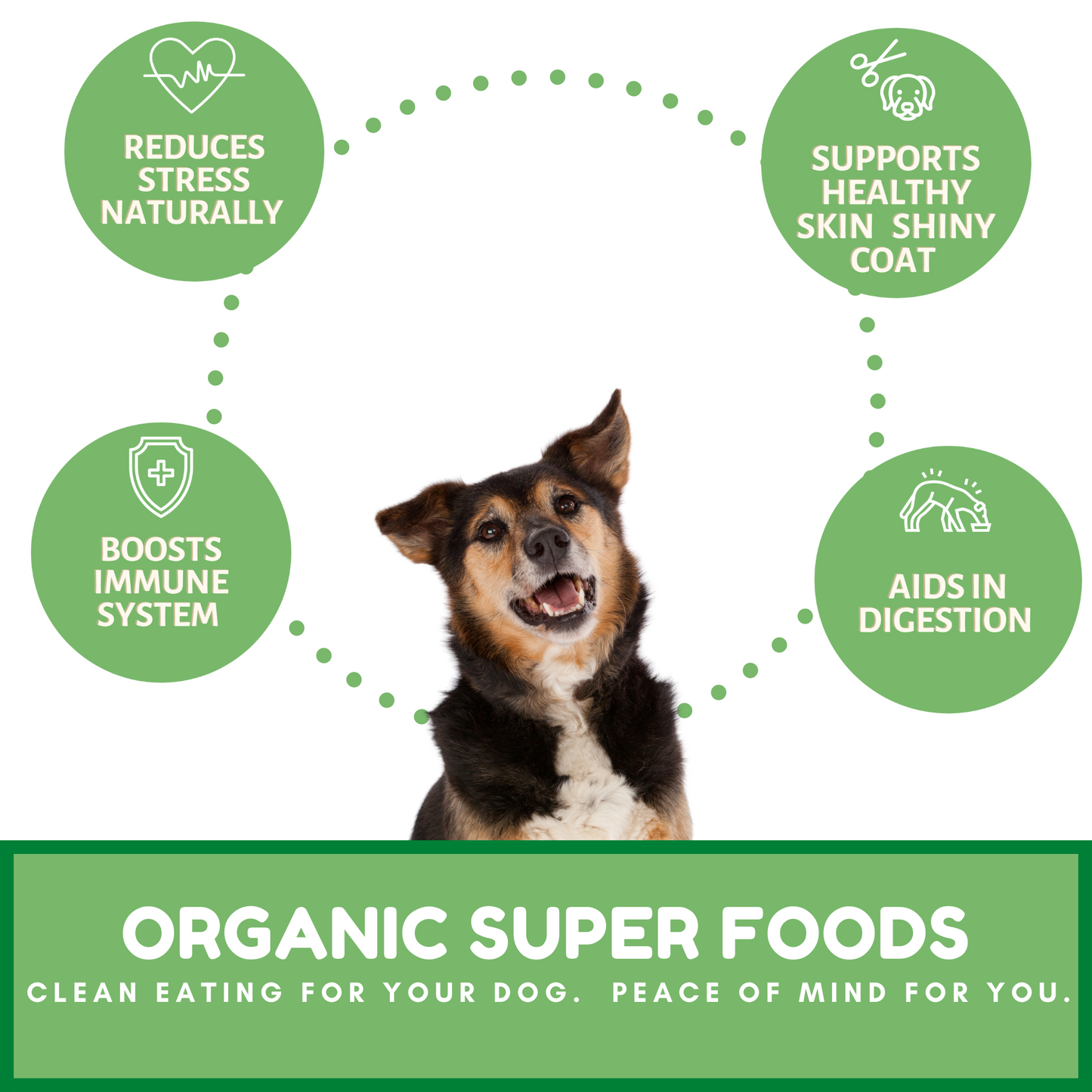 Dog Mamma's Organic Sweet Potato & Kale Dog Treats – 6 oz | USDA Organic