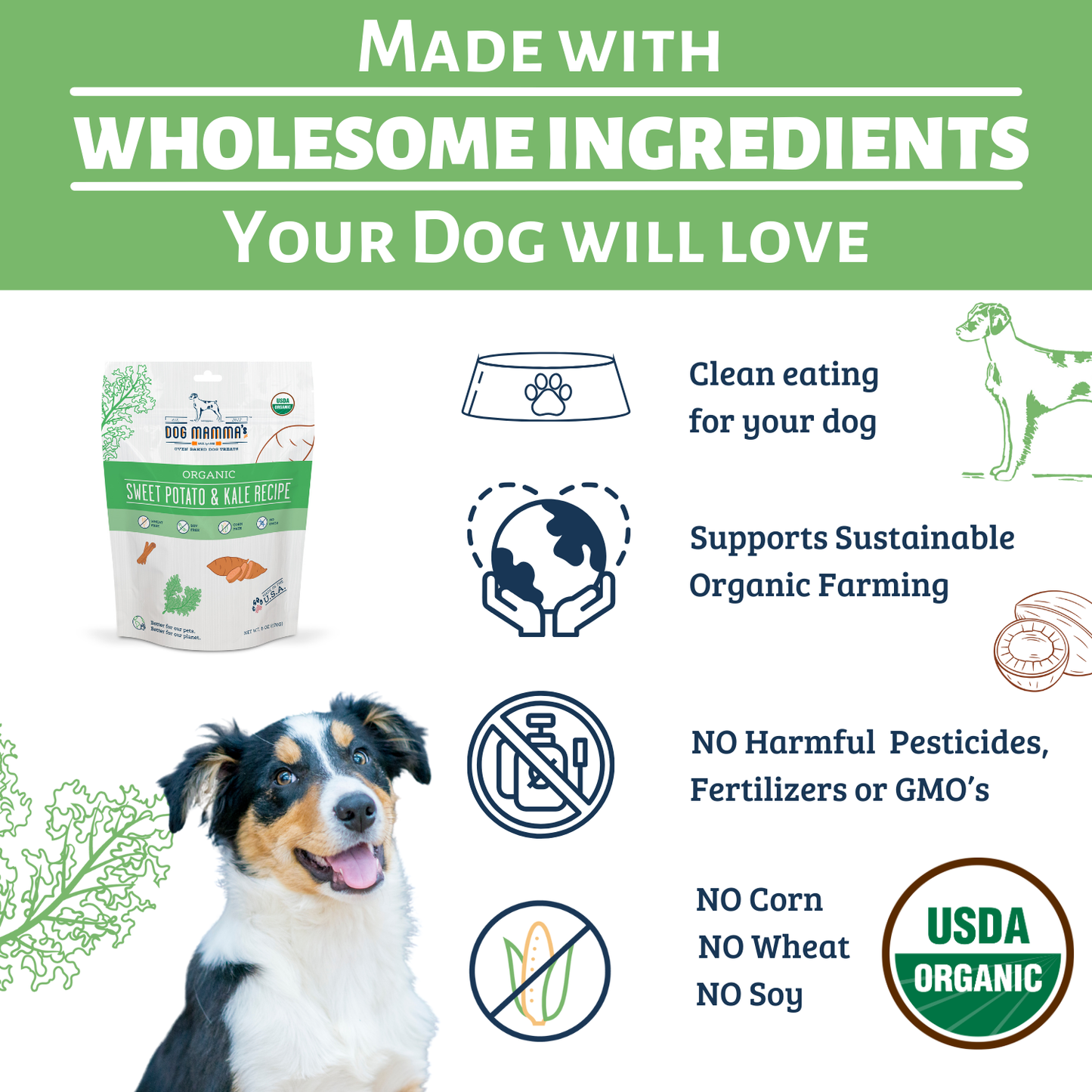Dog Mamma's Organic Sweet Potato & Kale Dog Treats – 6 oz | USDA Organic