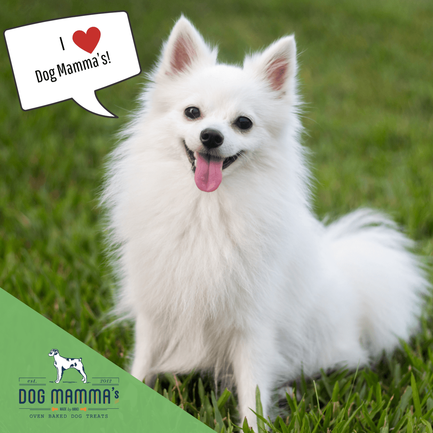 Dog Mamma's Organic Sweet Potato & Kale Dog Treats – 6 oz | USDA Organic