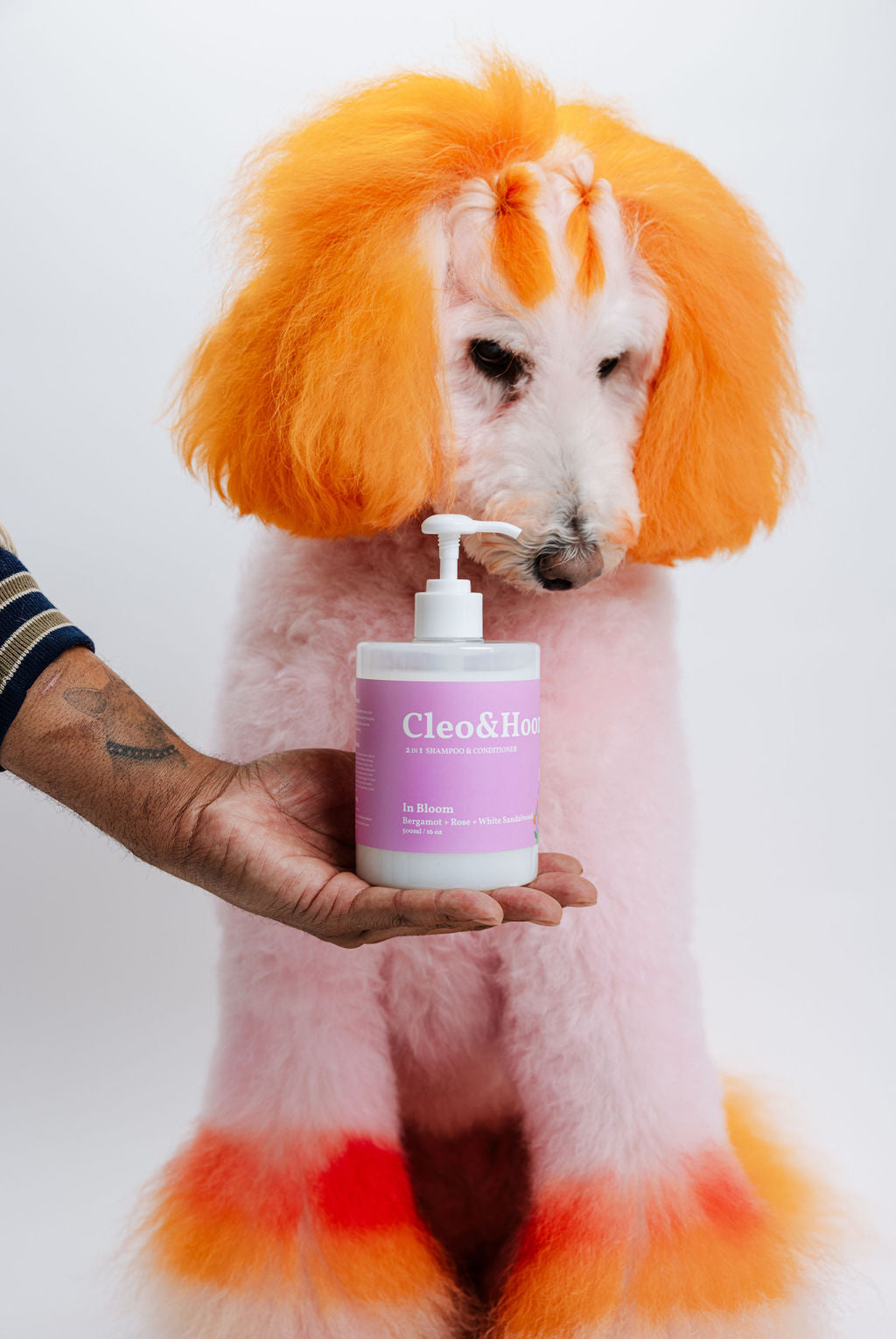 In Bloom Dog Shampoo & Conditioner Duo | Cleo&Hooman