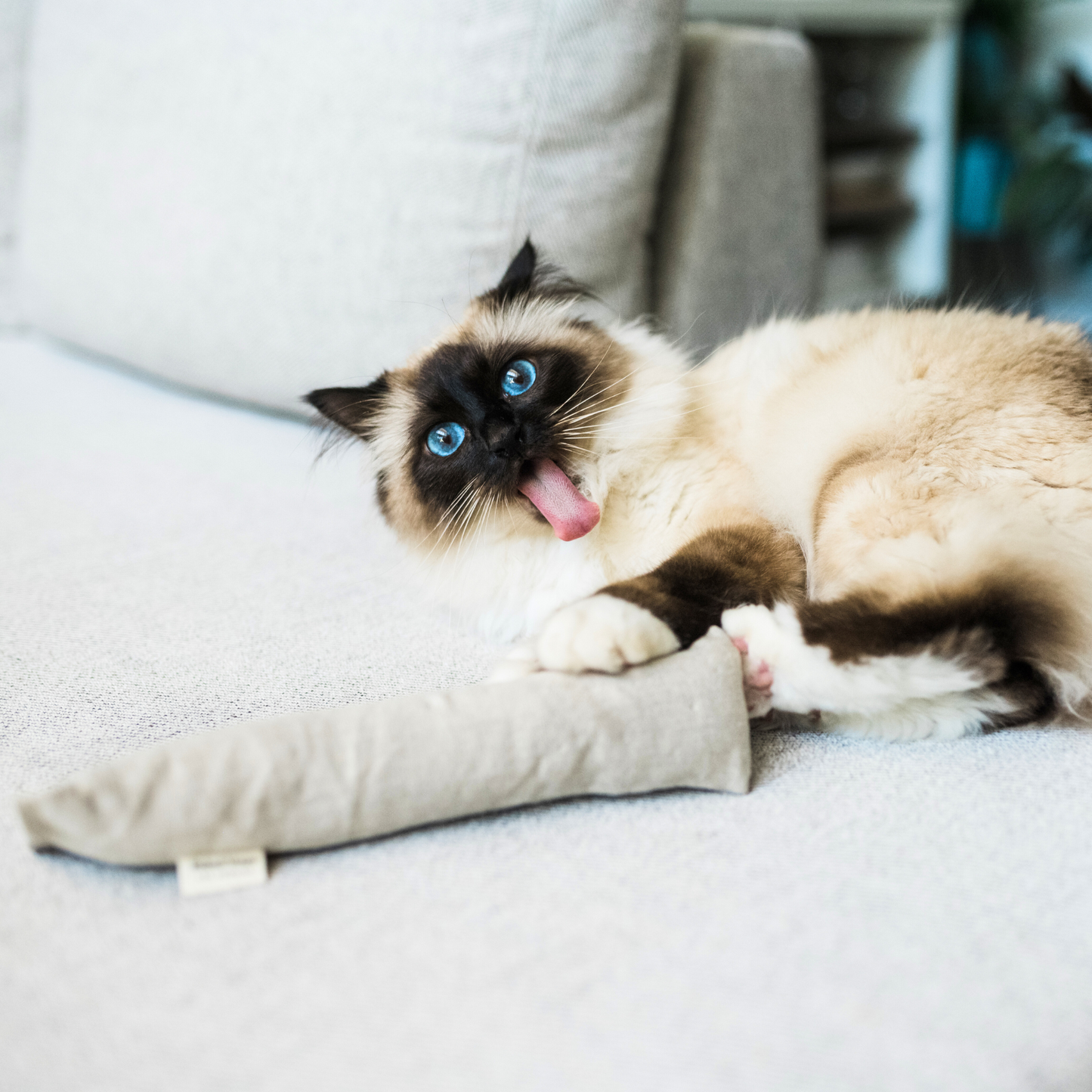 Natural Cat Kicker Toy — Hemp, Buckwheat & Organic Catnip