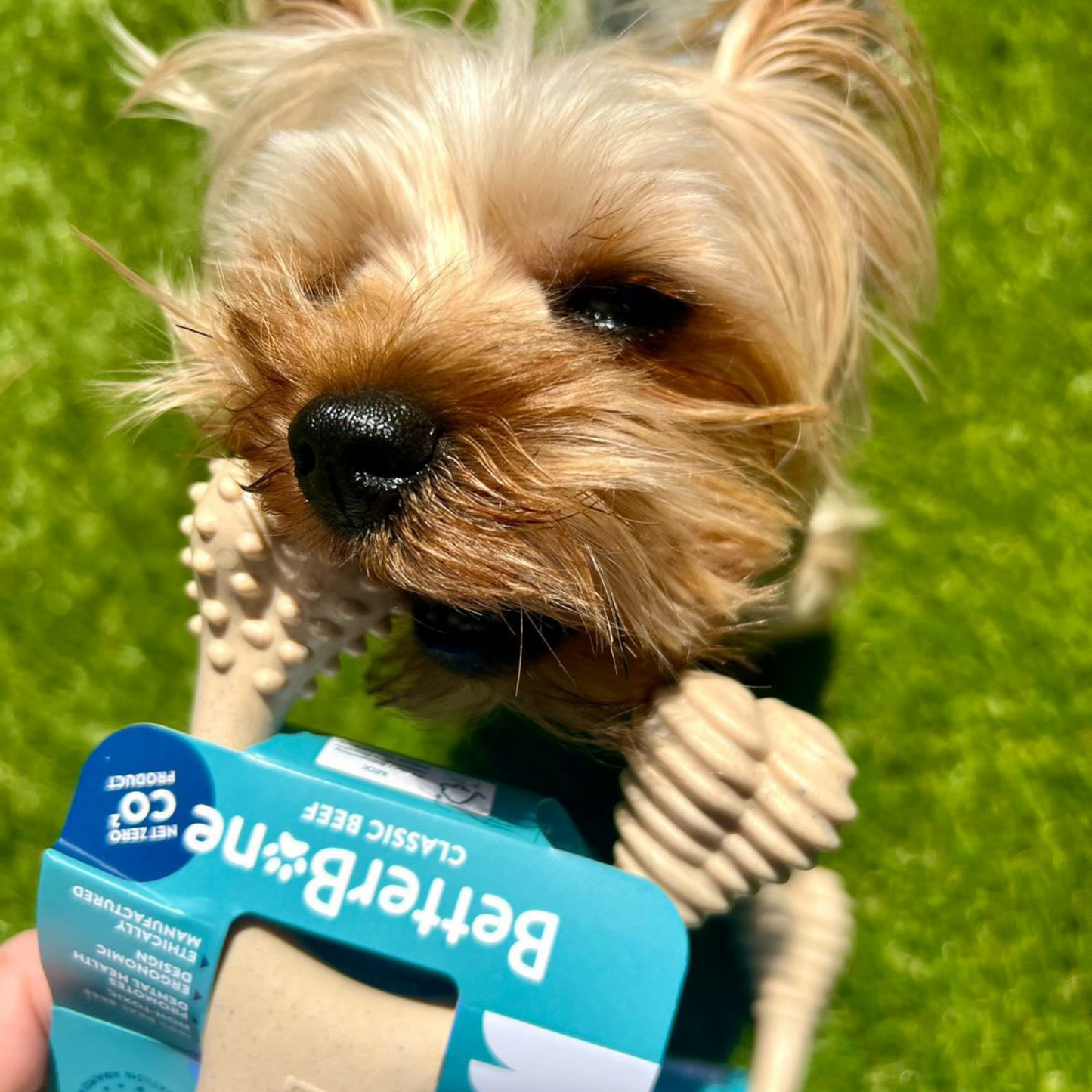 BetterBone LIGHT — Plant-Based Eco Dog Chew