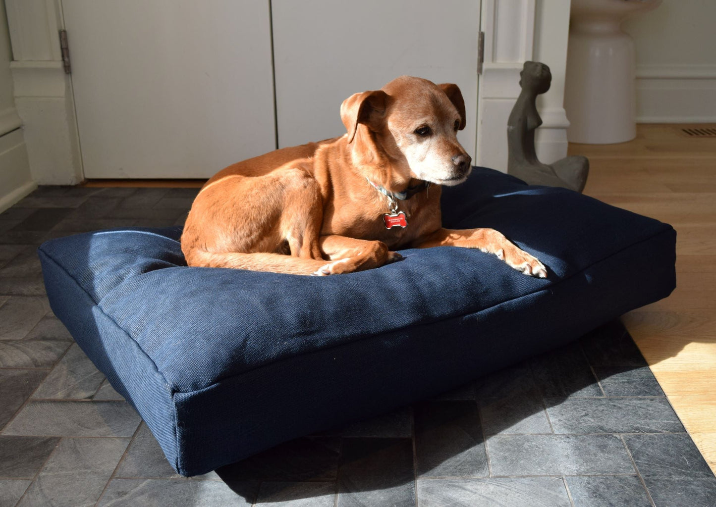 Premium Hemp Dog Bed — Organic Latex Foam Fill