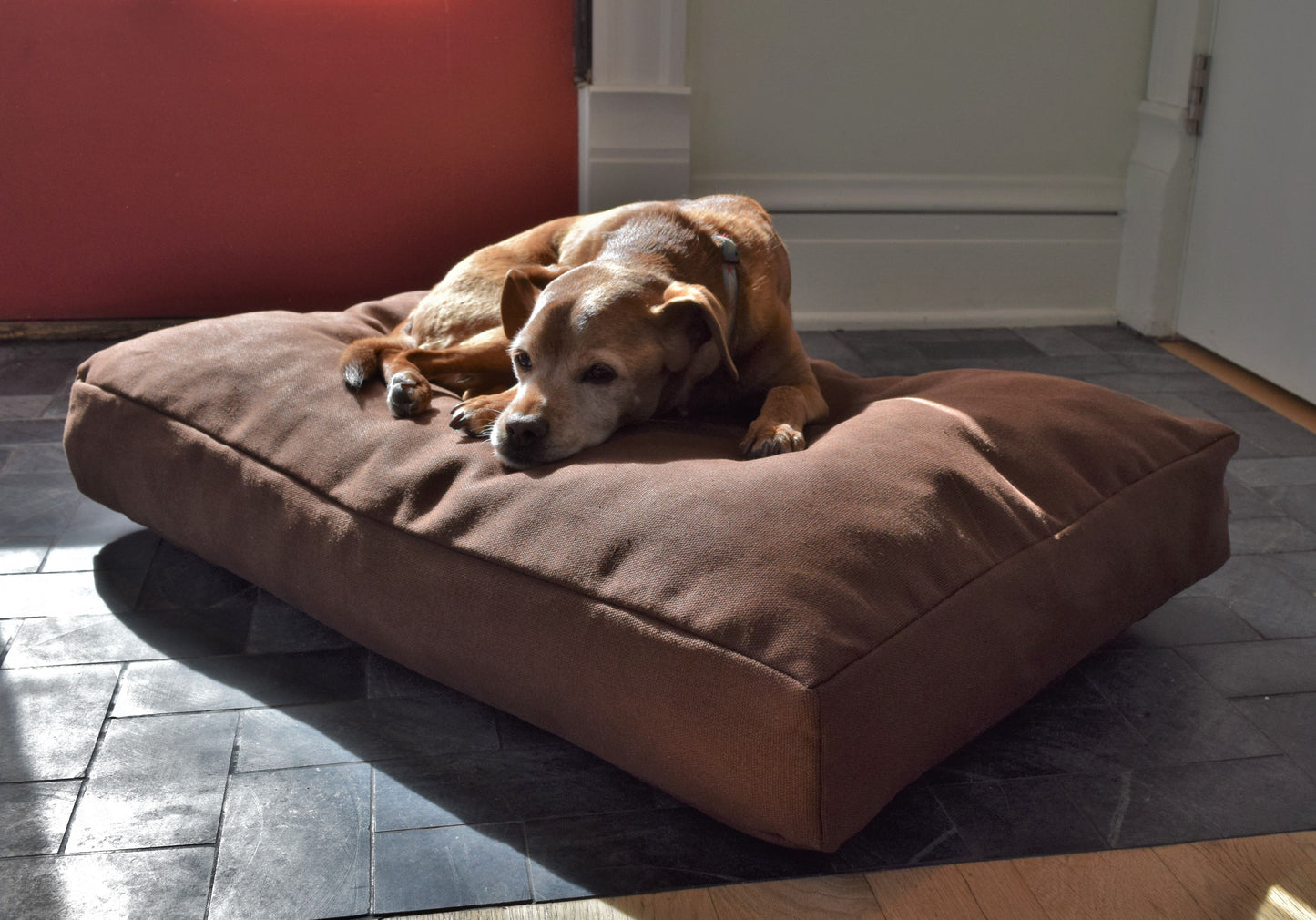 Premium Hemp Dog Bed — Organic Latex Foam Fill
