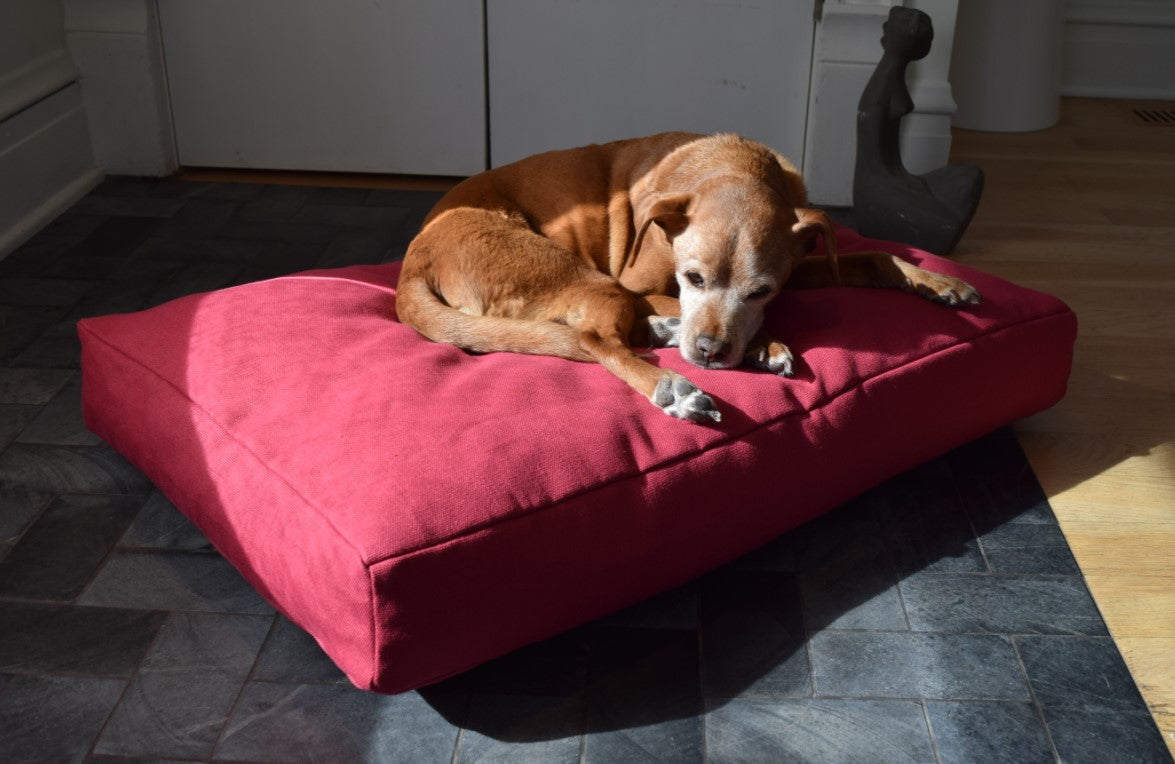 Premium Hemp Dog Bed — Organic Latex Foam Fill