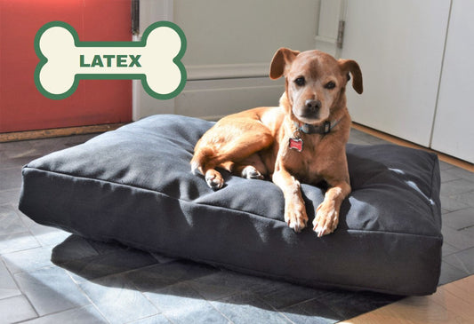 Premium Hemp Dog Bed — Organic Latex Foam Fill
