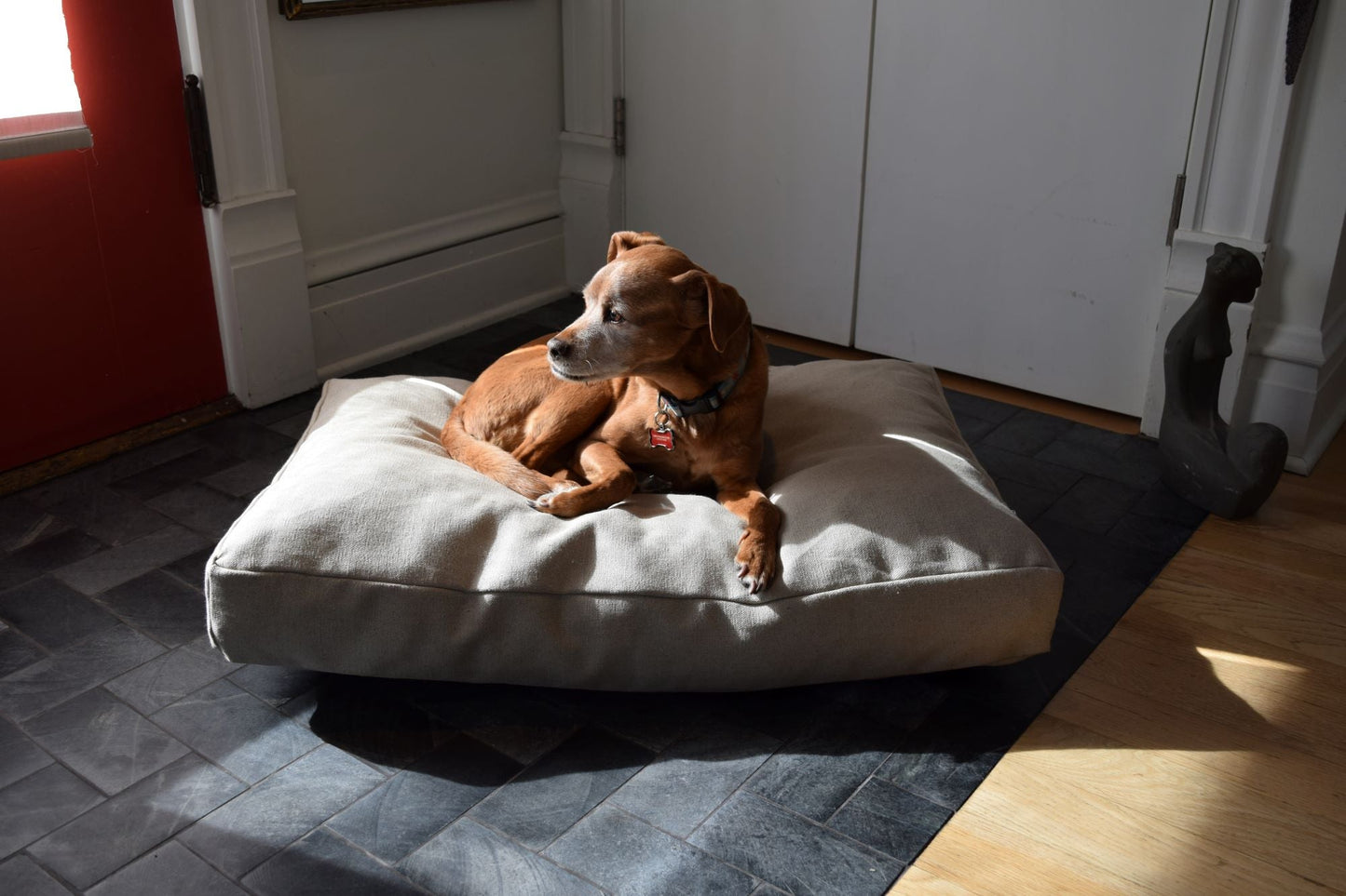 Premium Hemp Dog Bed — Organic Latex Foam Fill