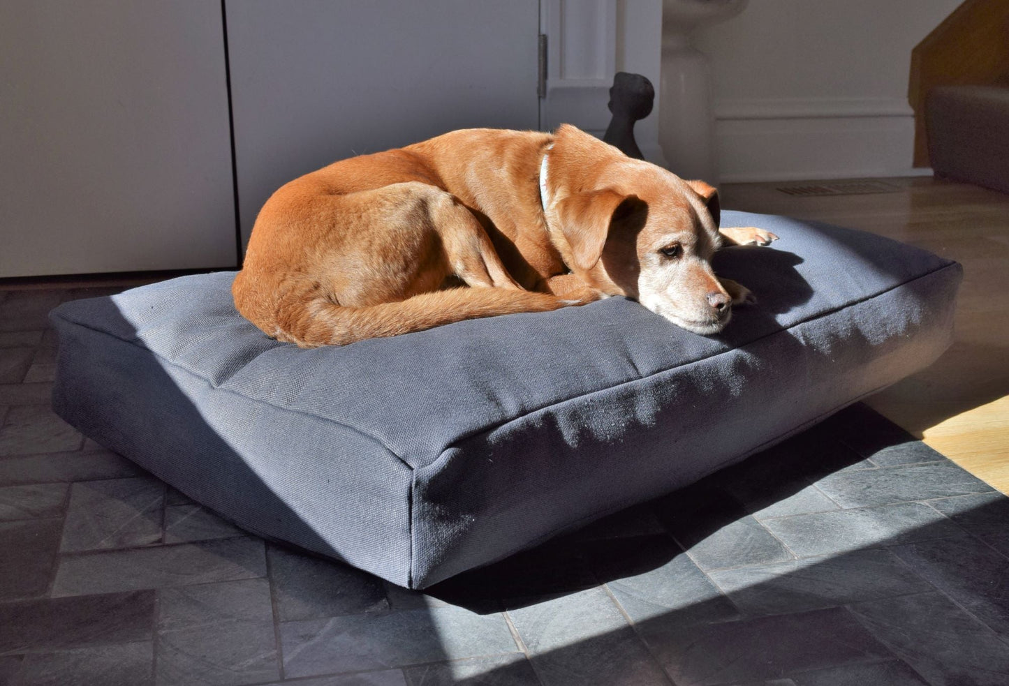 Premium Hemp Dog Bed — Organic Latex Foam Fill