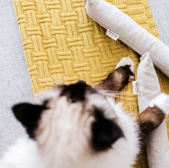 Natural Cat Kicker Toy — Hemp, Buckwheat & Organic Catnip