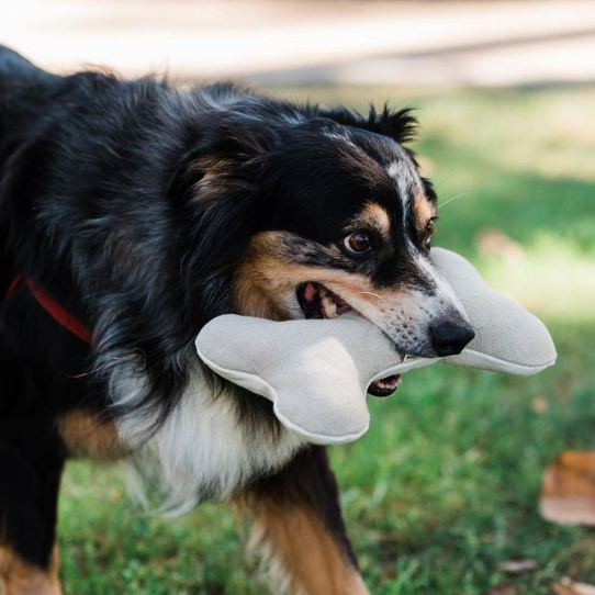 Natural Dog Toy Bundle — Hemp & Organic Cotton | Cuddle, Fetch & Tug