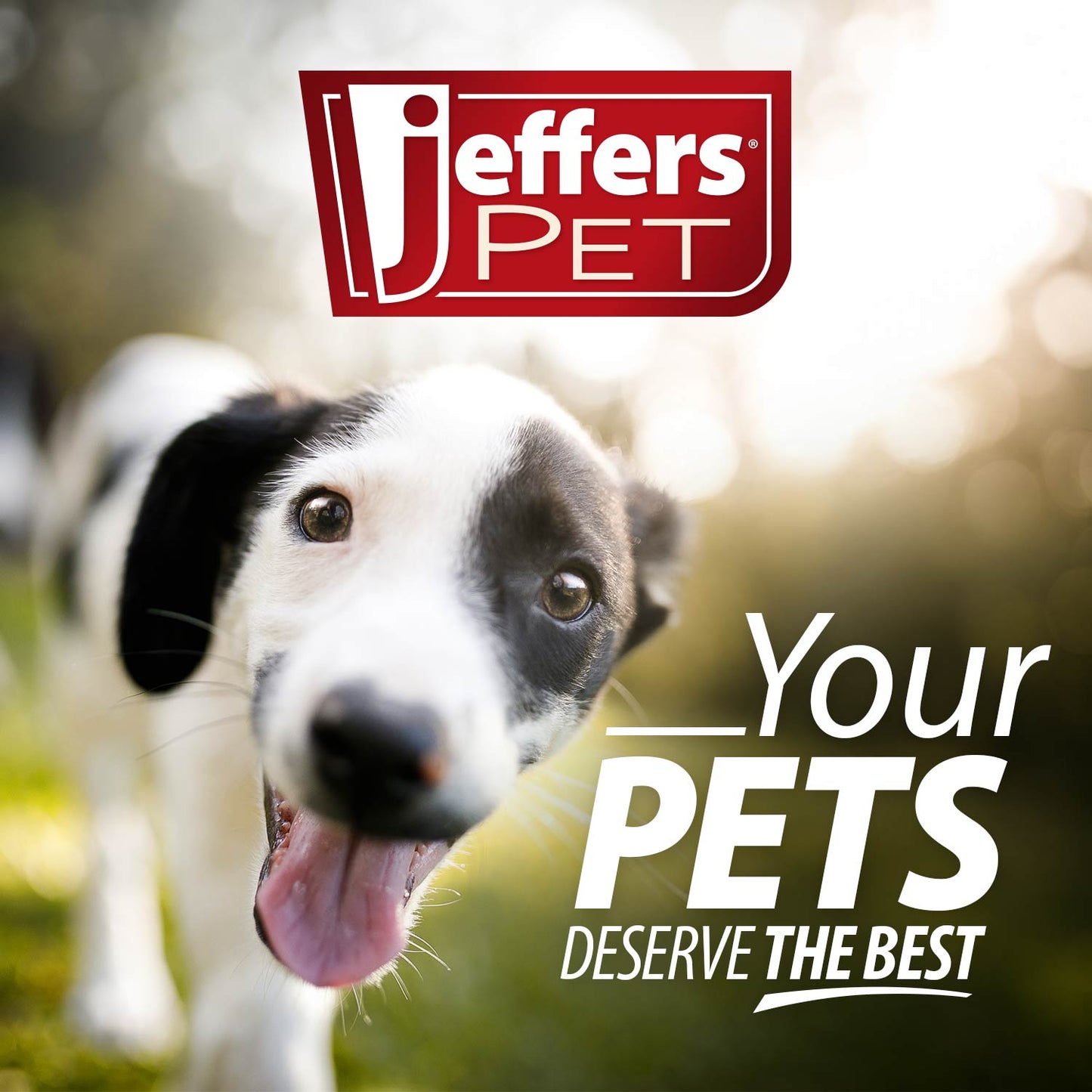 Jeffers Red Orbits Ball – Natural Rubber Treat Dispensing Dog Toy