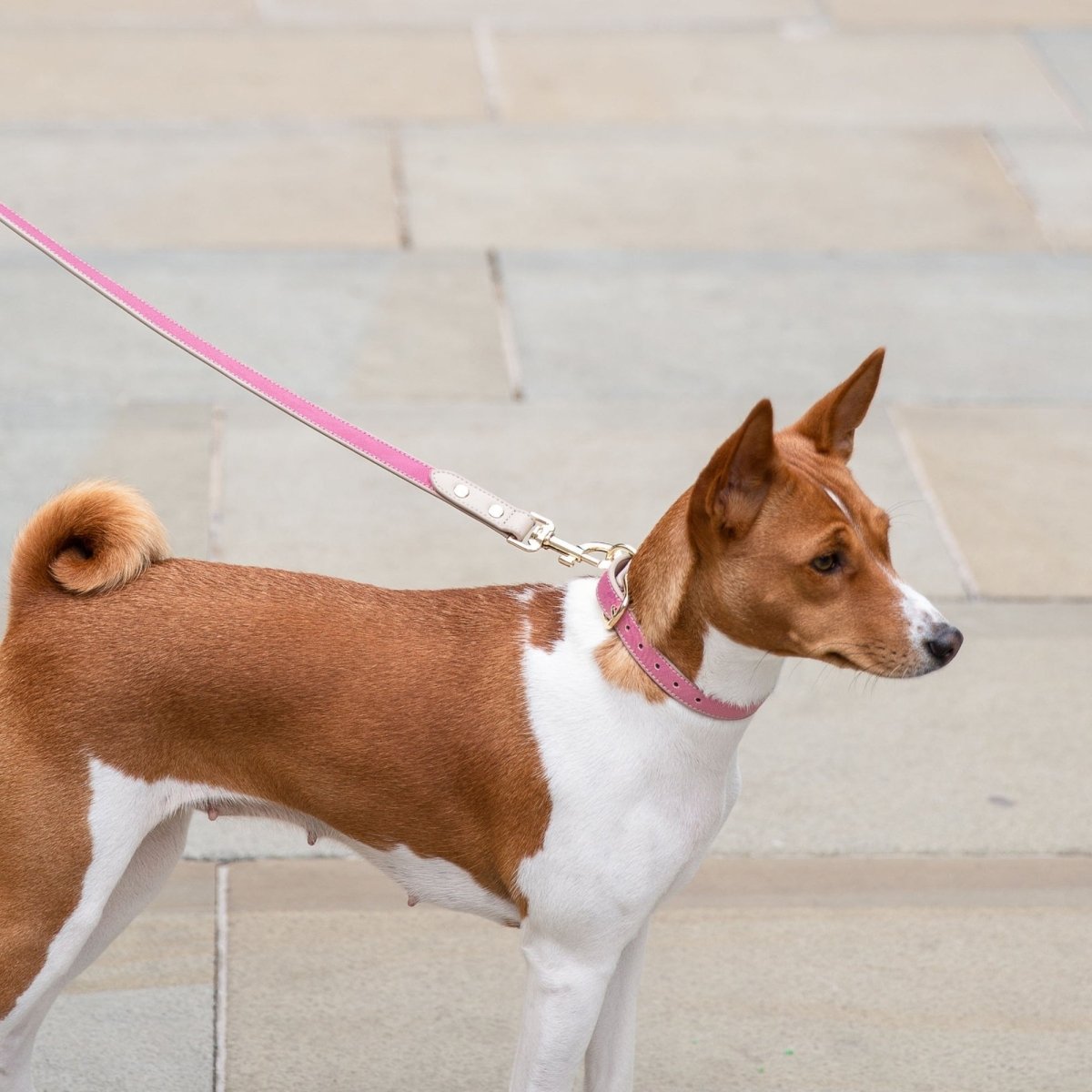 Leash 4ft - Vegan Leather