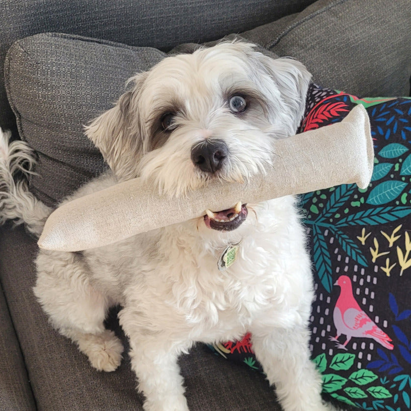 Natural Dog Toy Bundle — Hemp & Organic Cotton | Cuddle, Fetch & Tug