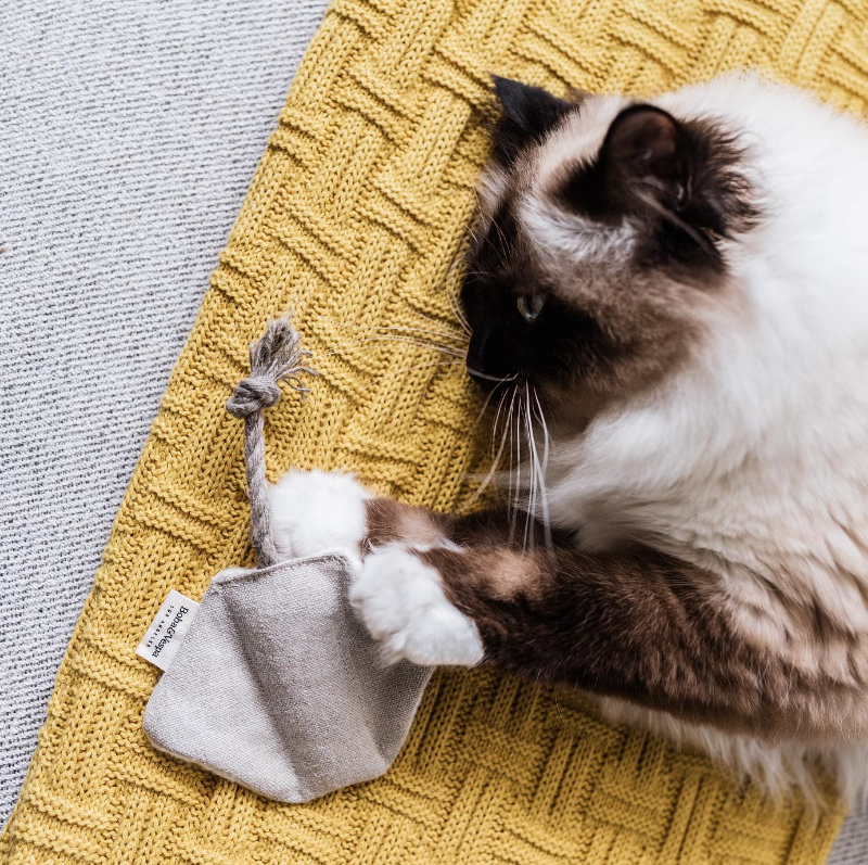 Organic Stingray Cat Toy — Hemp Cotton, Buckwheat & Catnip